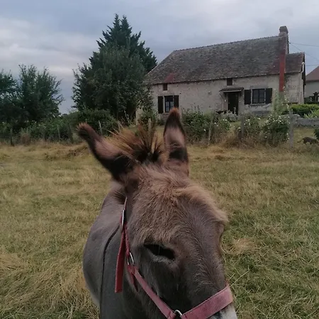 Charmante Maison, Calme Et Nature A La Roche Posay Buitenkant foto