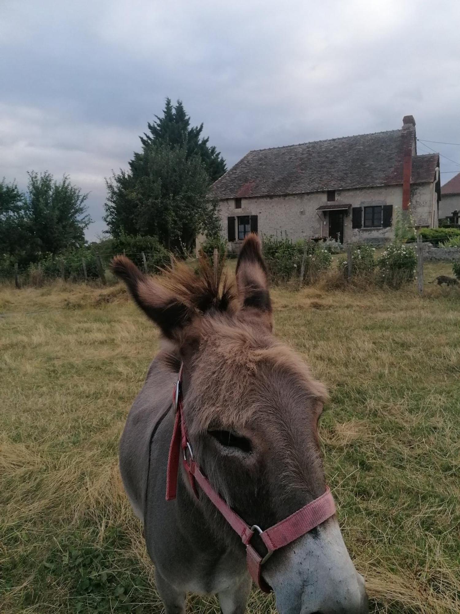 Charmante Maison, Calme Et Nature A Posay Holiday home *