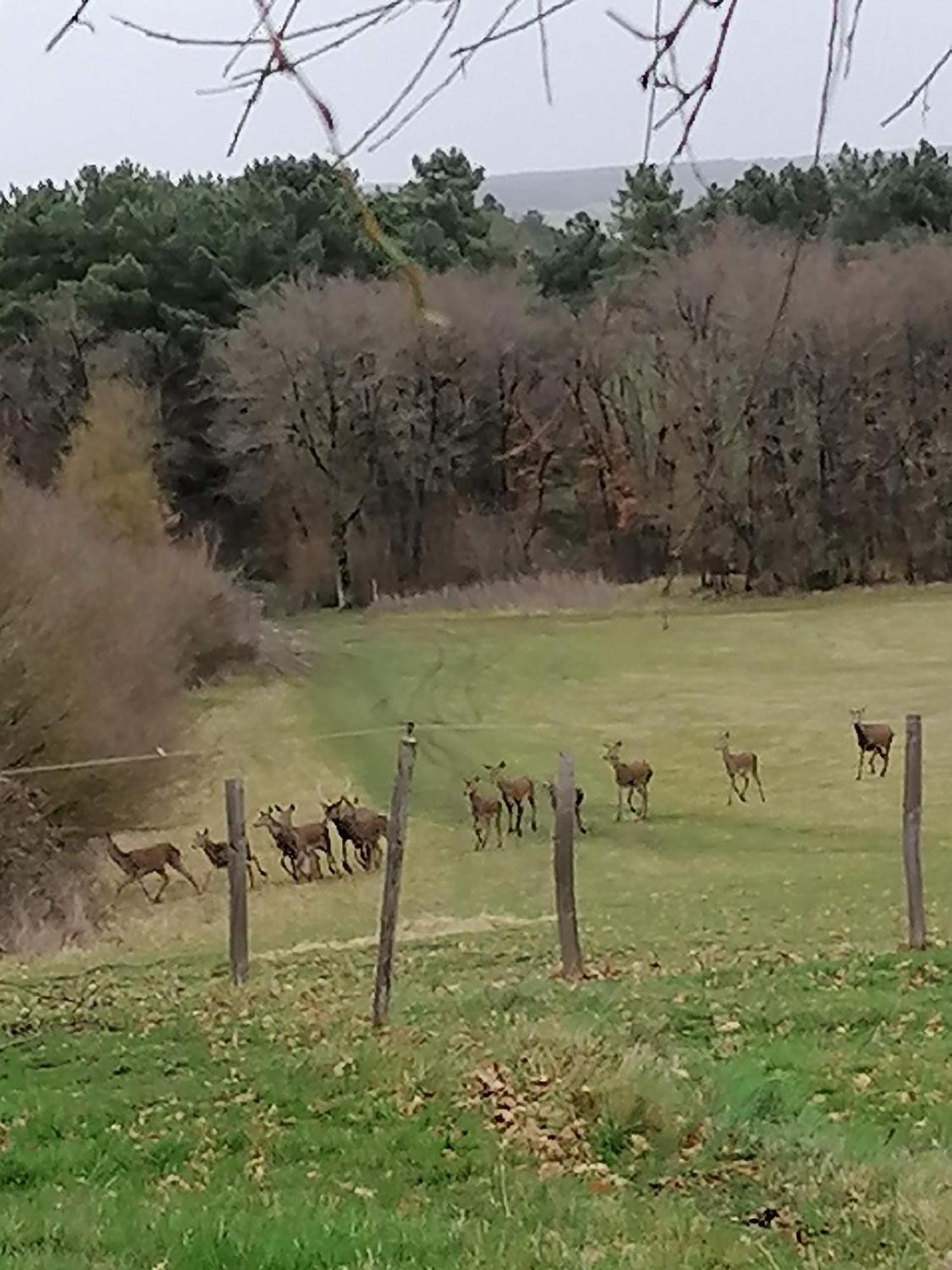 Charmante Maison, Calme Et Nature A Posay *