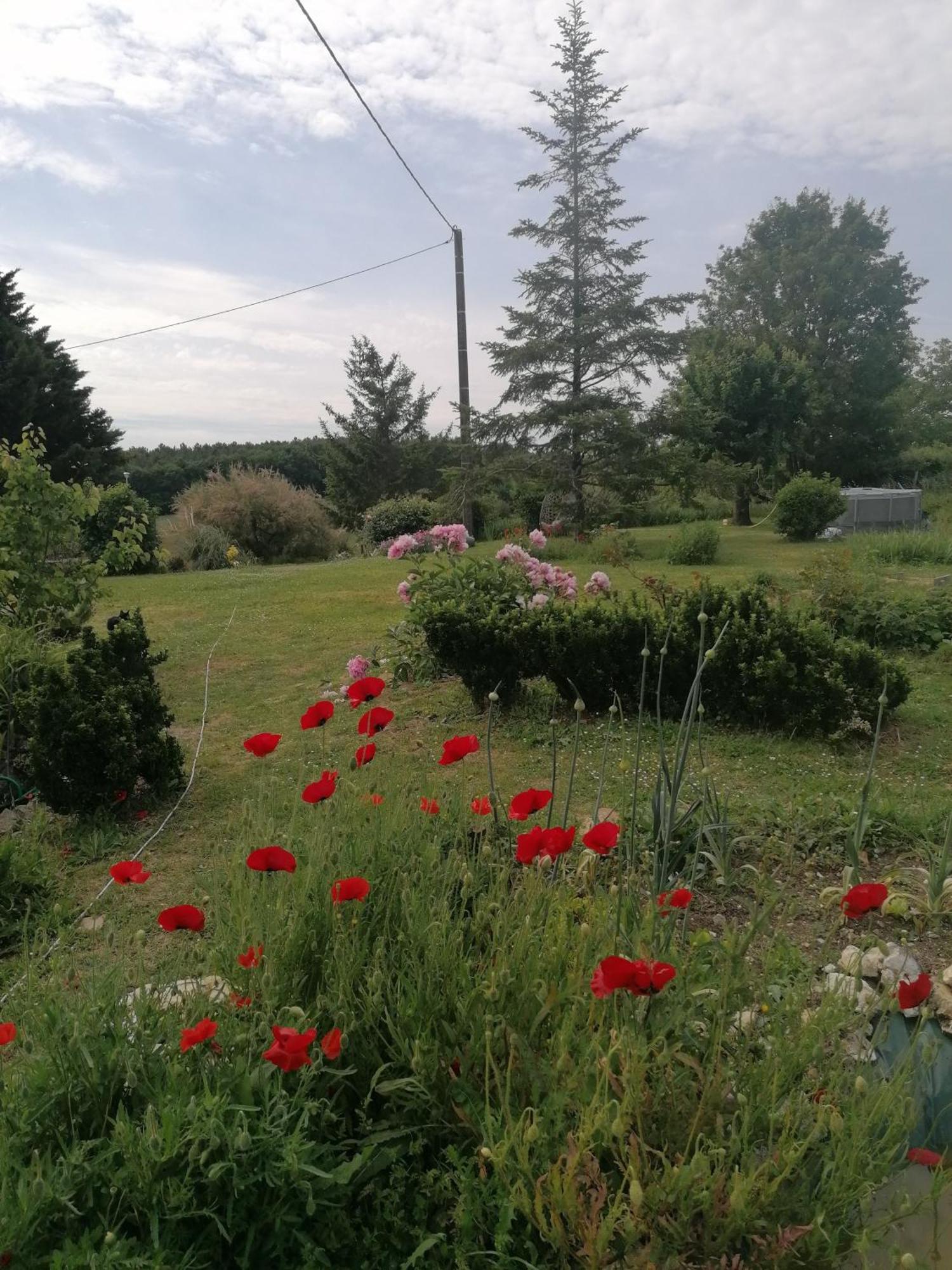 Holiday home Charmante Maison, Calme Et Nature A Posay La Roche-Posay