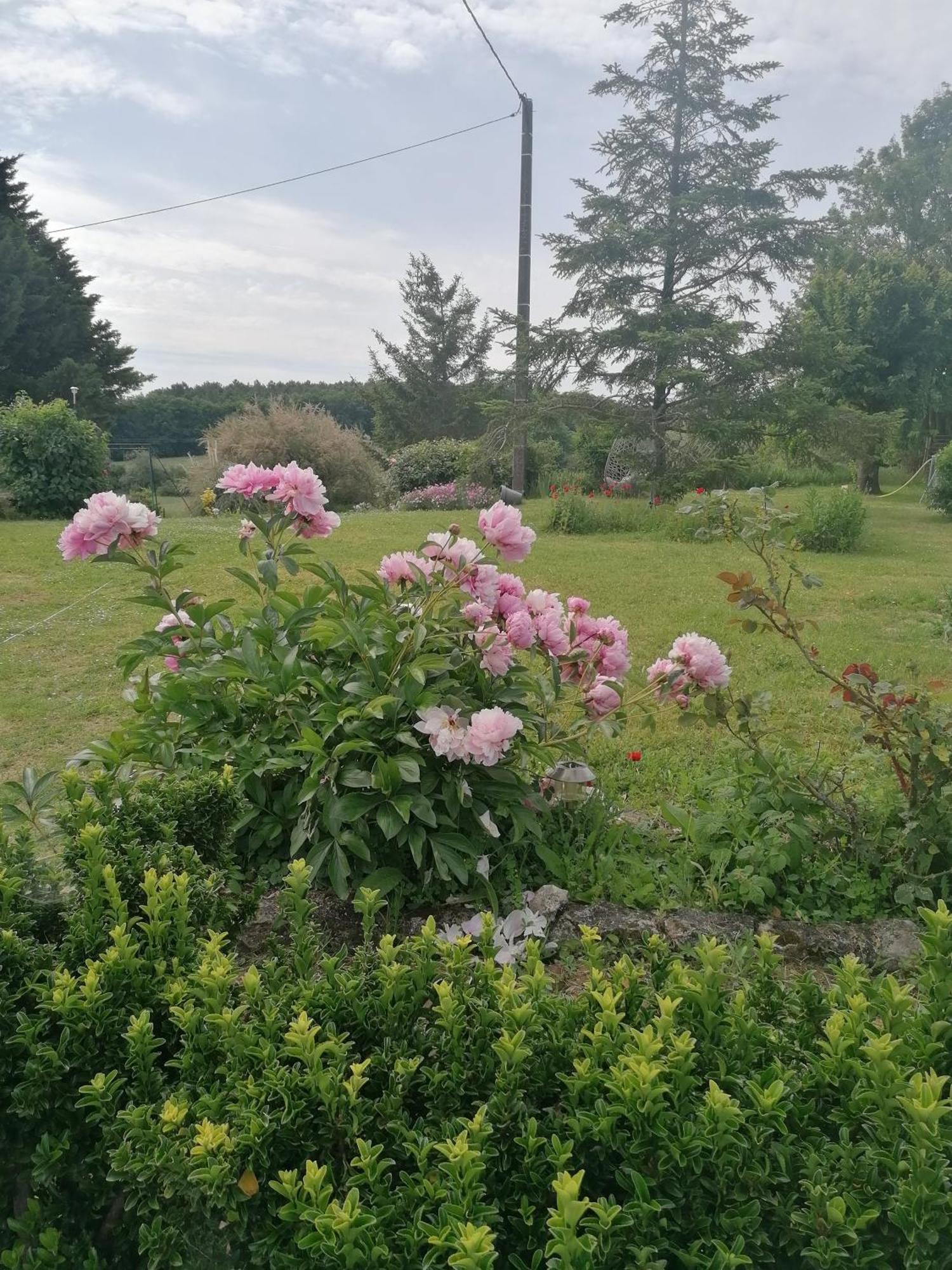 Charmante Maison, Calme Et Nature A Posay La Roche-Posay