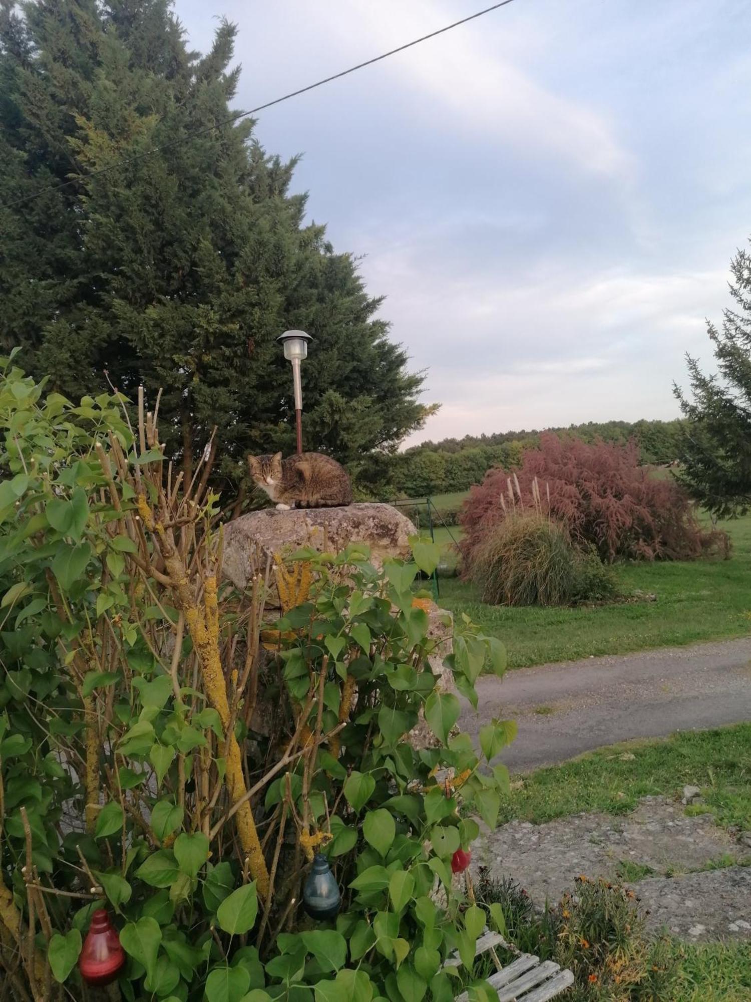 Charmante Maison, Calme Et Nature A Posay Holiday home