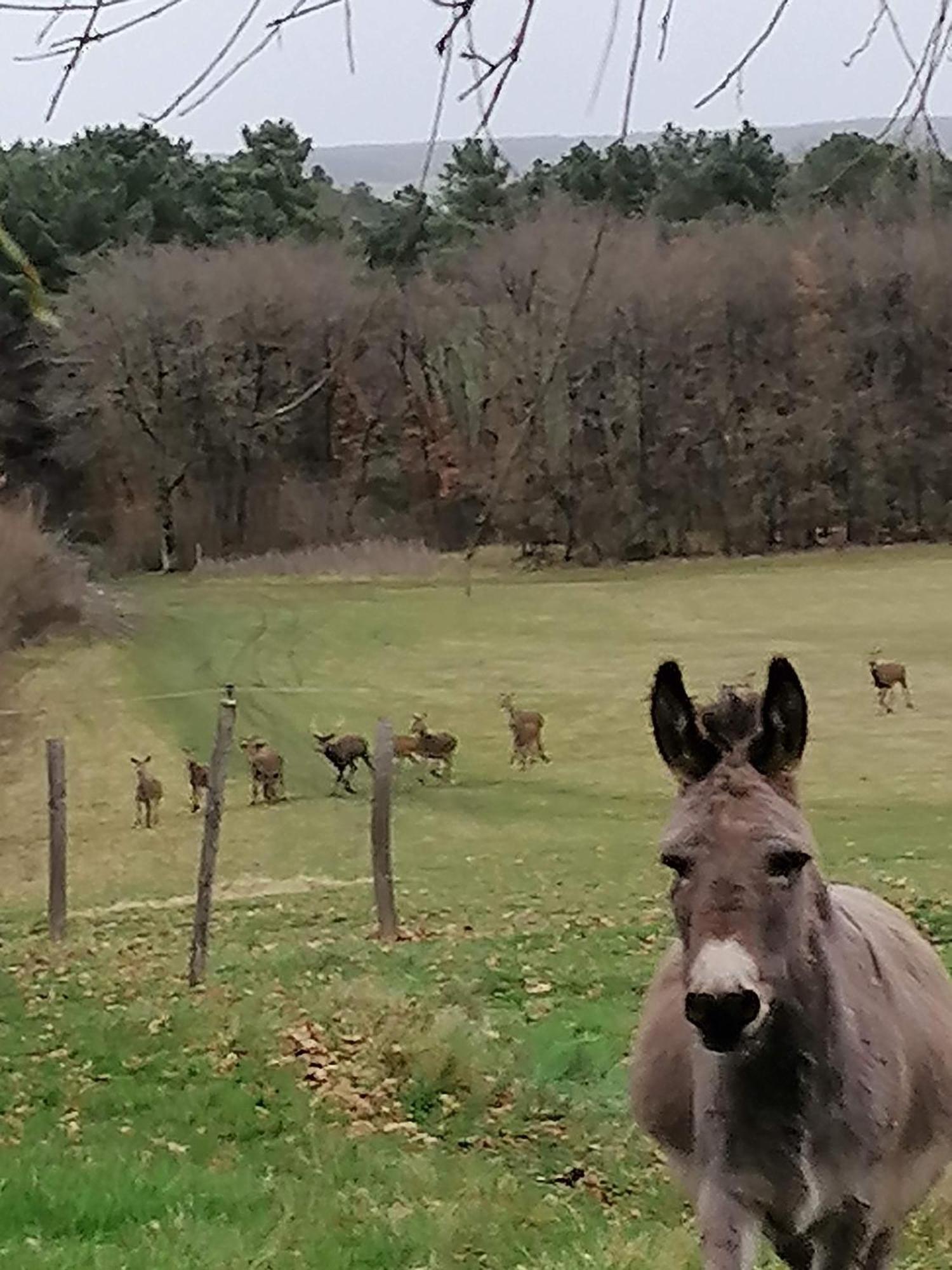 Charmante Maison, Calme Et Nature A Posay *