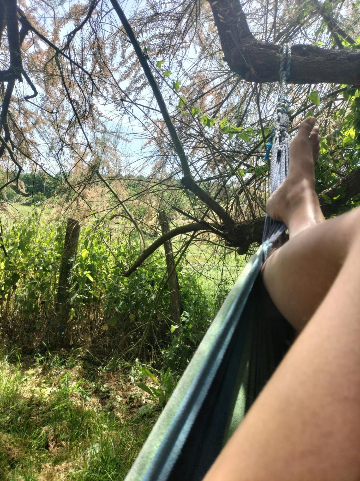 Hébergement de vacances 4 Pers, Jacuzzi, Piscine, Proche Futuroscope, Calme Et Nature A Posay